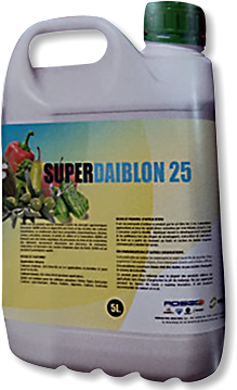 SUPERDAIBIBLON 25